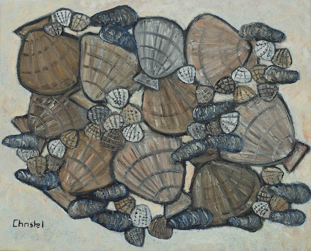Coquillages de Bretagne